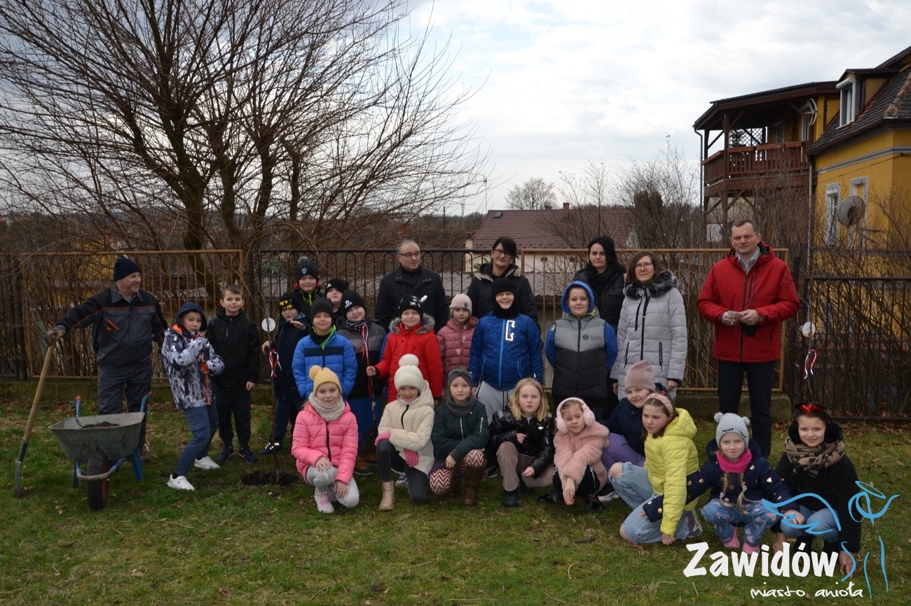 Read more about the article Zawidowscy uczniowie posadzili drzewa z duszą