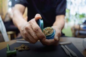 Read more about the article Niemcy chcą zalegalizować marihuanę