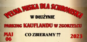 Read more about the article Pełna miska dla schroniska