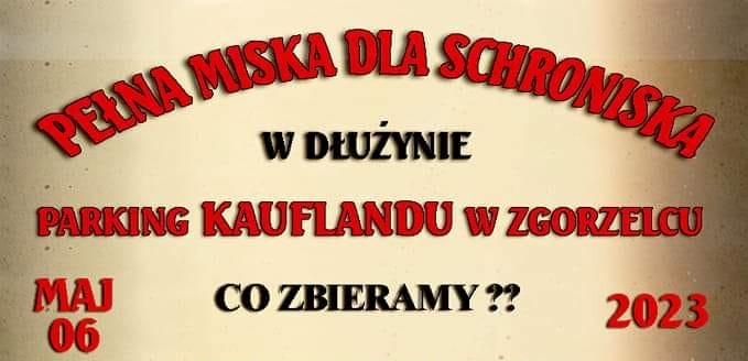 You are currently viewing Pełna miska dla schroniska