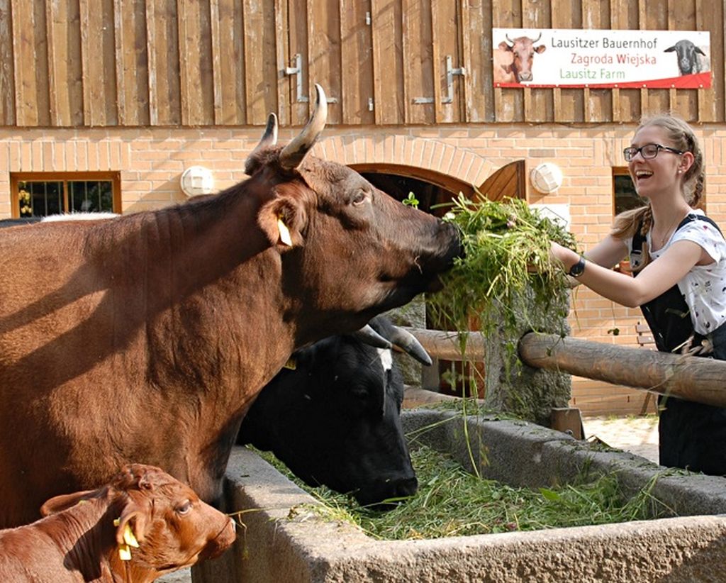 Read more about the article Pandzia dziupla w Zoo Görlitz gwarancją udanych wakacji wśród zwierząt