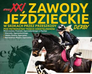Read more about the article XXI Zawody Jeździeckie w Skokach przez Przeszkody