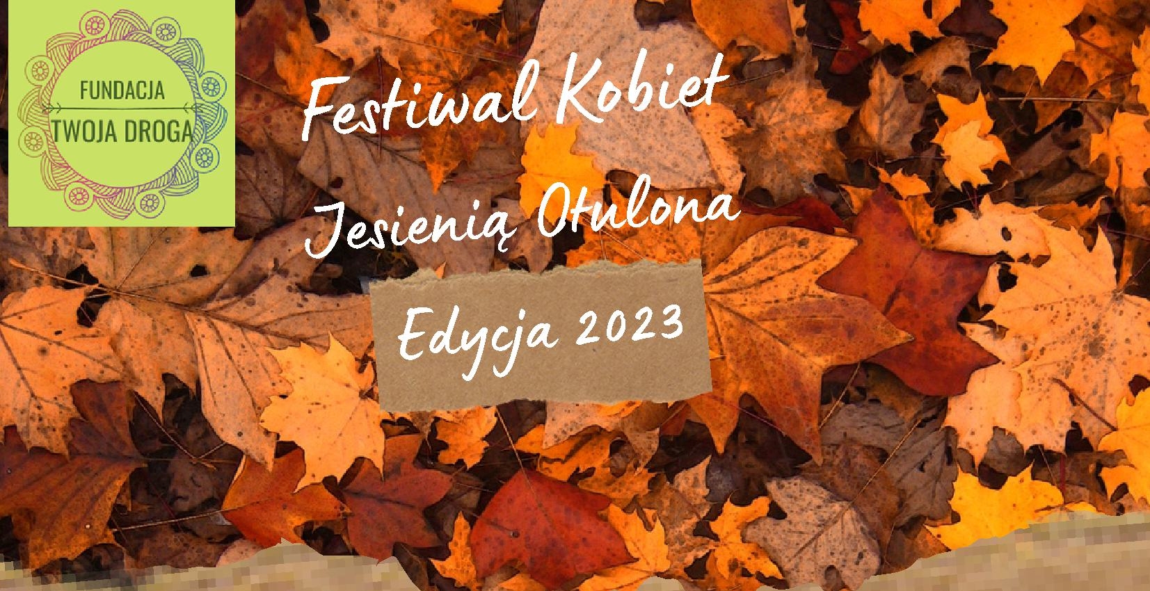 You are currently viewing Festiwal Kobiet z Fundacją Twoja Droga