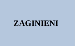 Read more about the article Poszukiwani zaginieni