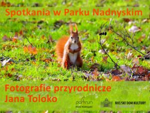 Read more about the article Miejski Dom Kultury w Zgorzelcu zaprasza na wystawę