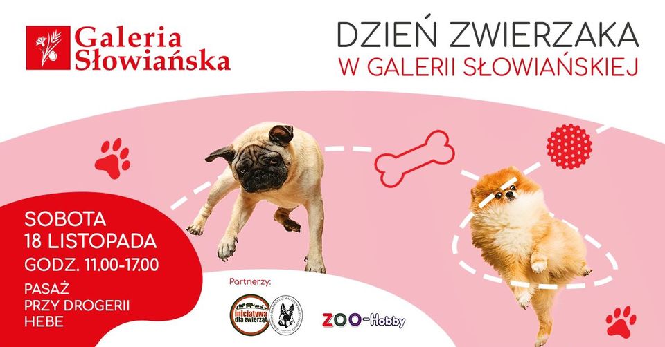 You are currently viewing Dzień zwierzaka w Galerii Słowiańskiej