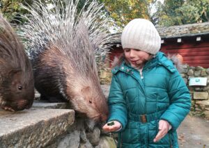 Read more about the article Obdarowywanie zwierząt w Zoo Görlitz