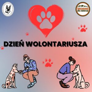 Read more about the article Dzień Wolontariusza