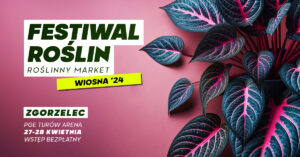 Read more about the article Festiwal Roślin w Zgorzelcu