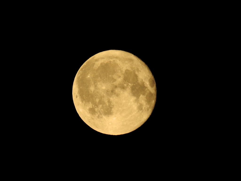 You are currently viewing Pełnia – Różowy Księżyc