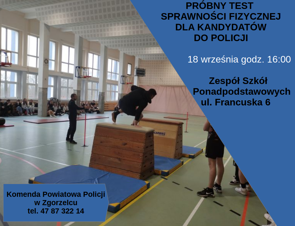 Próbny test sprawności fizycznej – zinfo.pl